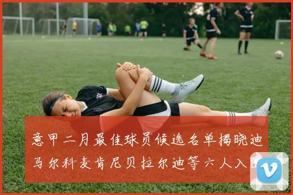 意甲二月最佳球员候选名单揭晓迪马尔科麦肯尼贝拉尔迪等六人入围