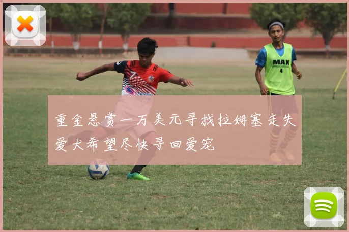 重金悬赏一万美元寻找拉姆塞走失爱犬希望尽快寻回爱宠