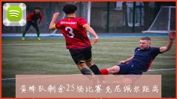 黄蜂队剩余25场比赛克尼佩尔距离新秀三分记录仅差13球