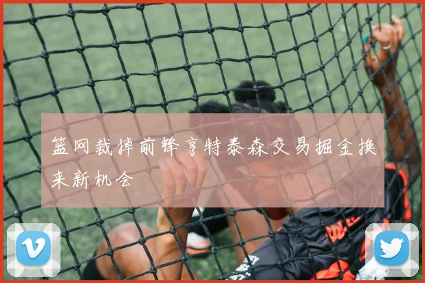 篮网裁掉前锋亨特泰森交易掘金换来新机会