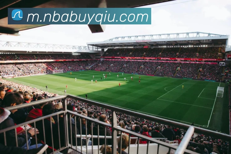 NBA买球网站平台生态图